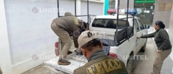 Hallan estrangulada en su domicilio a una joven universitaria extranjera