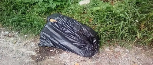 La Paz: hallan cabeza de la mujer descuartizada e identifican a presunto autor