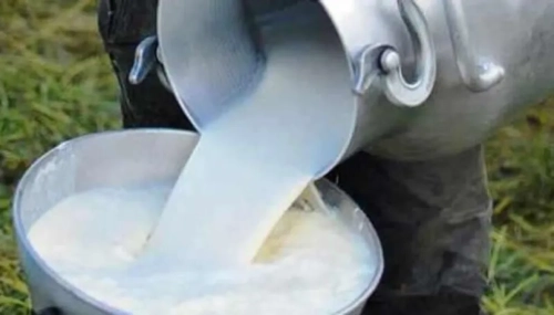 Precio del litro de leche en tiendas de barrio llega a Bs 8 y en agencias afirman que no les llega el producto